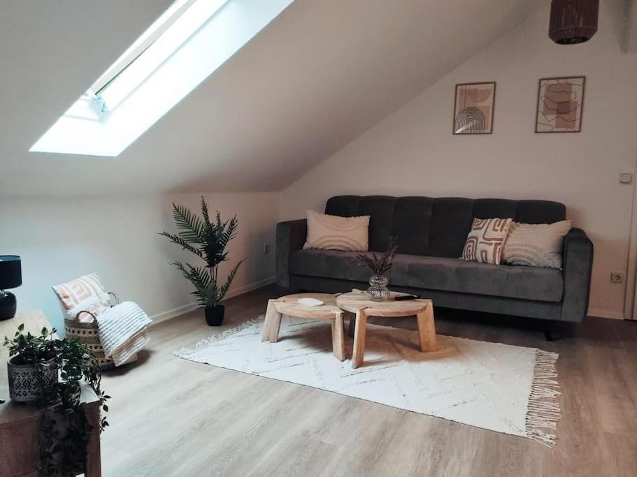 Stylische Altstadtwohnung - Netflix - Smart Tv - Schlafsofa Fuer 3 Personen Erfurt Buitenkant foto