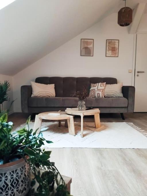 Stylische Altstadtwohnung - Netflix - Smart Tv - Schlafsofa Fur 3 Personen Erfurt Buitenkant foto