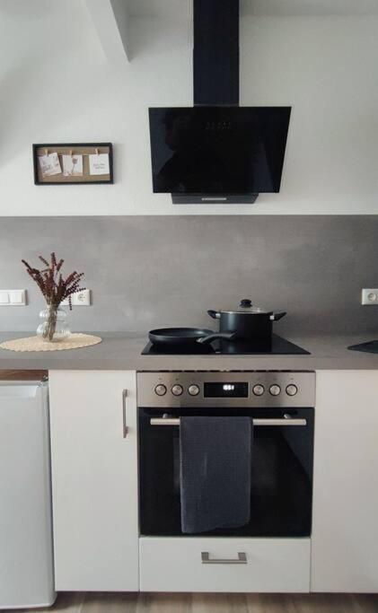 Stylische Altstadtwohnung - Netflix - Smart Tv - Schlafsofa Fuer 3 Personen Erfurt Buitenkant foto